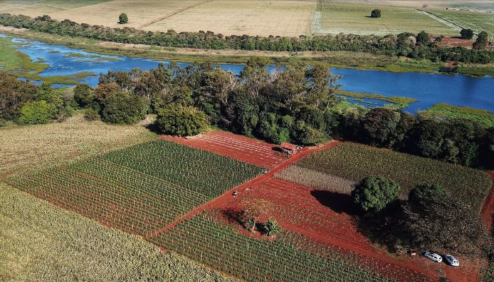  Paraná tem planos estratégicos para agricultura sustentável, segurança hídrica e descarbonização